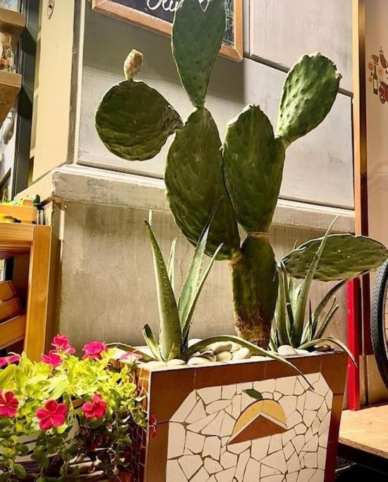 Appartement La Casa Di Eva à Palerme Extérieur photo